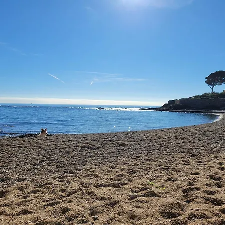 La Tranquillite, 2mn A Pieds דירה *